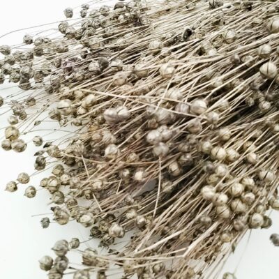 Planta In Gri neuniform 50cm_pic