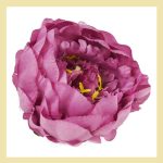 Bujor liliac 12cm 1buc