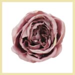 Capete Trandafir Liliac 12cm set 6buc