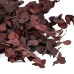 Eucalipt stabilizat Silver Drop bordo set