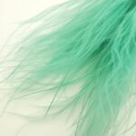 Stipa pennata turquoise 60cm 40g