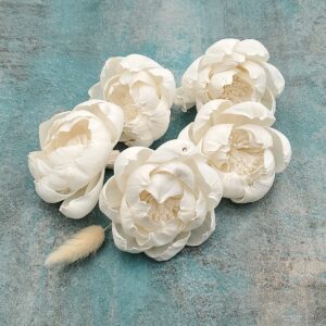 Capete Bujor 6cm alb natur set x6