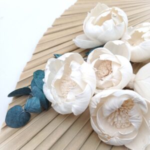 Capete Bujor 8cm alb natur set x5