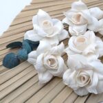 Capete Trandafir extra 8cm alb natur set x6