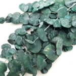 Eucalipt prep. Silver Dollar verde 100g - imagine 2