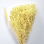 Flori uscate Broom Bloom premium Galben pal set 100g