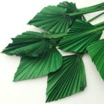 Frunze Palmier Mini Verde Iarba x9