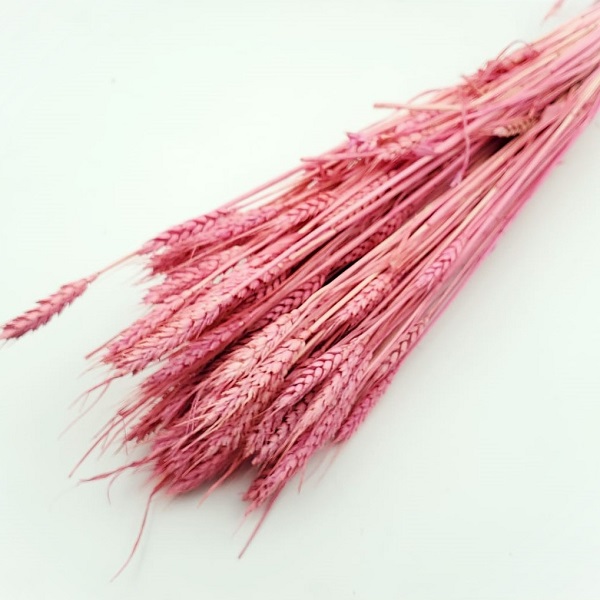 Grau uscat Roz pal set 120g Grau uscat Roz pal set 120g