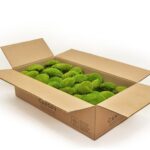 Muschi bombat stabilizat Canopy GreenApple BAX