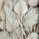 Pachet JUMBO Frunze Palmier Mini Natur x50