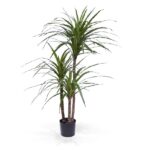 Dracaena Marginata artificiala in ghiveci H100cm