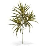 Dracaena artificiala creanga variegata 80cm