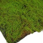 Muschi artificial tip mocheta 1x1m