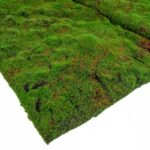 Muschi artificial 3D maro tip mocheta 1x2m