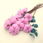 Flori de Bumbac lila set x10