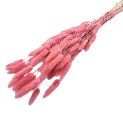 Lagurus Soft Pink set 50cm