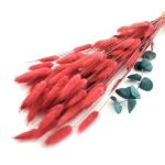 Lagurus Soft Red set