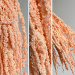 Amaranthus stabilizat Peach 100cm
