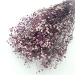 Floarea miresei stabilizata Liliac set 40g