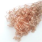 Floarea miresei stabilizata Pale Peach set 40g