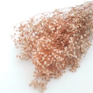 Floarea miresei stabilizata Pale Peach set 40g