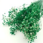 Floarea miresei stabilizata Verde set 40g