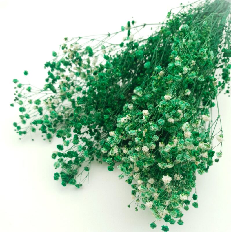 Floarea miresei stabilizata Verde set 40g