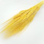 Grau barbos Galben set 80g