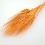 Grau barbos Oranj set 80g