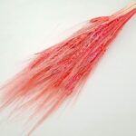 Grau barbos Rosu set 80g