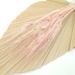 Grau barbos Roz pal set 80g