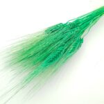 Grau barbos Verde neon set 80g