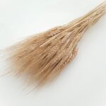 Pachet JUMBO Grau barbos natur set 80g