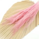 Iarba uscata Texas Roz pal set 50cm