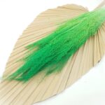 Iarba uscata Texas Verde neon set 50cm