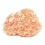Hortensia criogenata cu flori mici Pale Peach D20cm