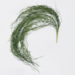 Tillandsia artificiala curgatoare verde 100cm