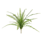 Feriga Asplenium tufa artificiala verde 75cm