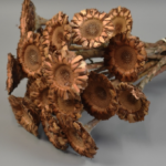 Floare uscata Protea Coronata mini natur set x18