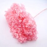 Hortensia criogenata cu flori mici Roz intens D20cm