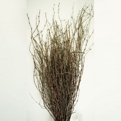 Nuiele Salcie decorativa uscata natur set 70cm