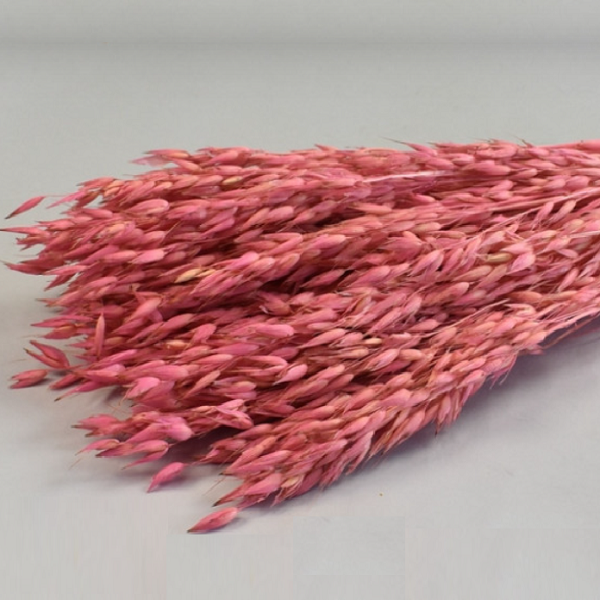 Ovăz Roz set 150g Ovăz Roz set 150g