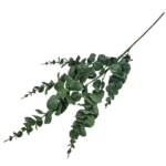 Creanga Eucalipt artificial verde-inchis 97cm