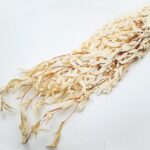 Eucalipt prep. crem set