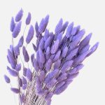 Lagurus premium Mov Deschis set 100g