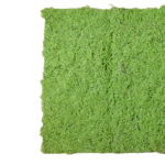 Muschi artificial verde tip mocheta 1x2m