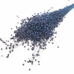 Planta de In Cerneala DR set 100g