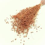 Planta de In Oranj DR set 100g