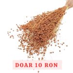 Planta de In Oranj DR set 100g