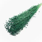 Planta de In Verde inchis DR set 100g